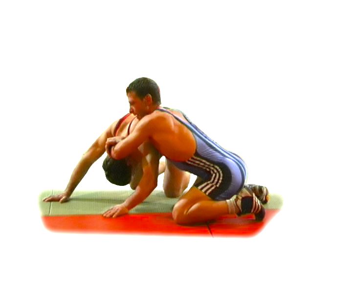 online the essential criminology